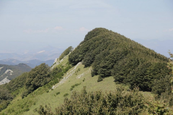 Alta Via del Partenio